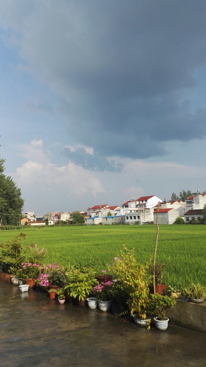 雨后