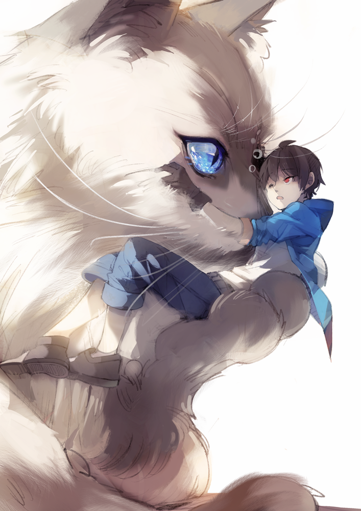 猫少年