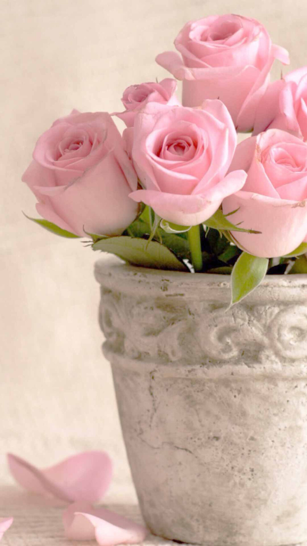 微博壁纸集风景静物系列手机壁纸新浪微博高清无水印iphone萌壁纸