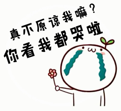 给我道歉表情