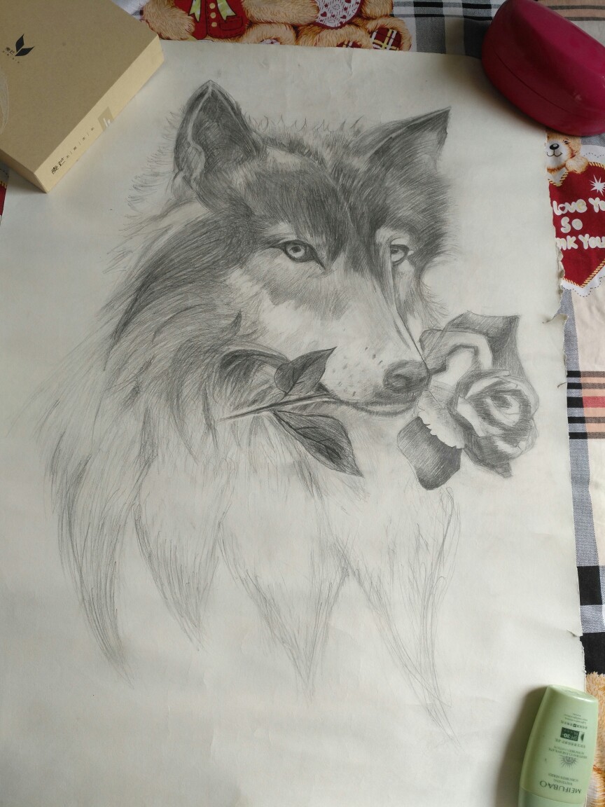 素描狼与玫瑰图片