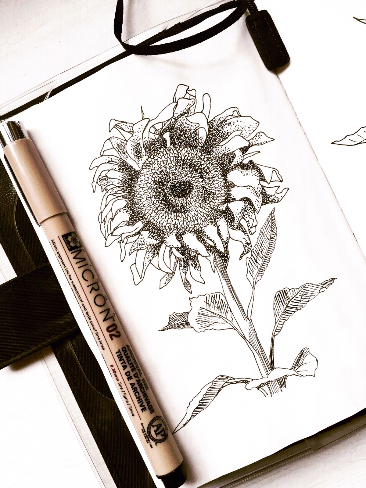 向日葵手绘画针管笔图片