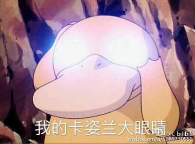 我的卡姿兰大眼睛