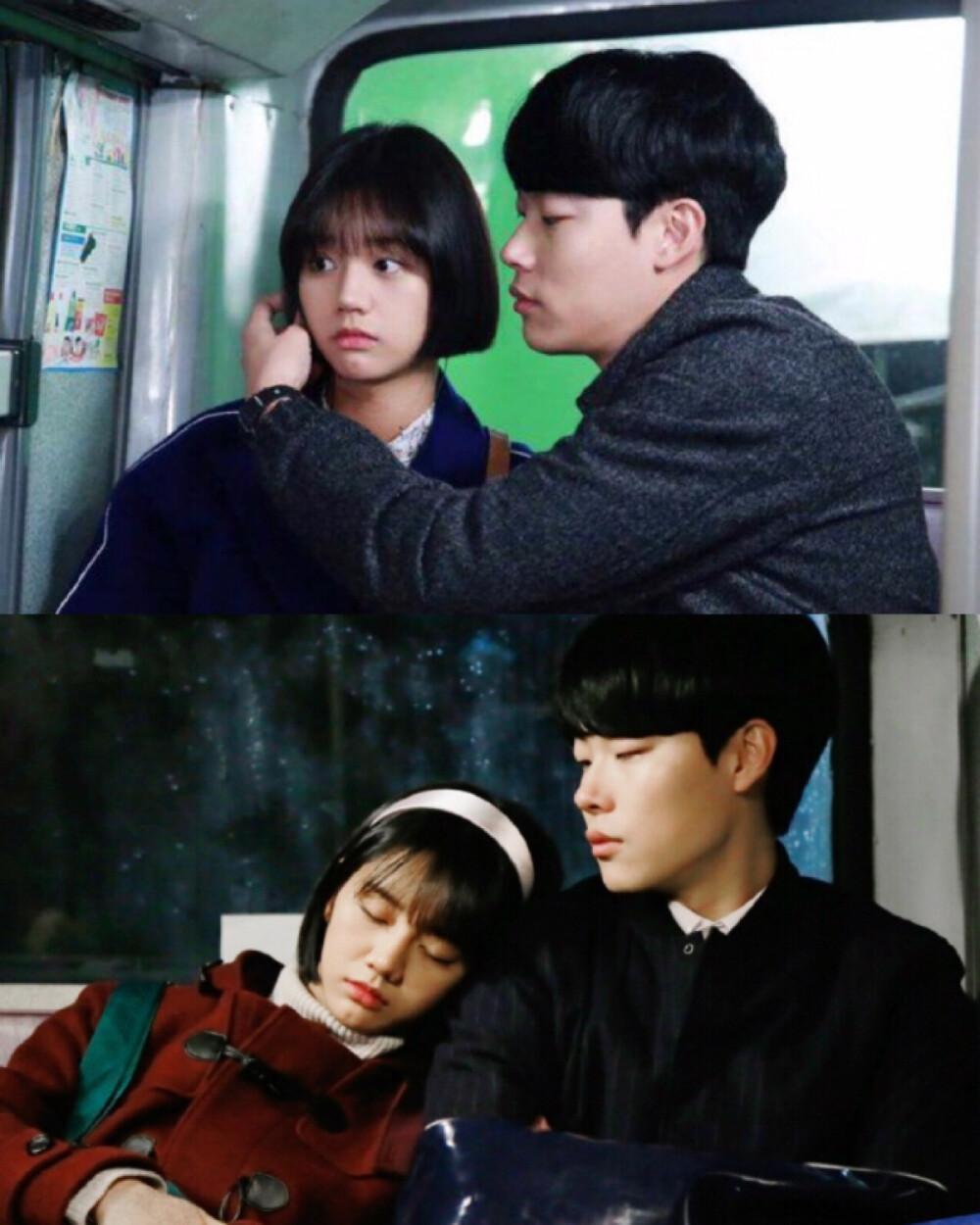 请回答1988德善狗焕