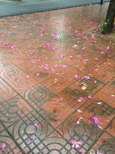 烂桃花表情包