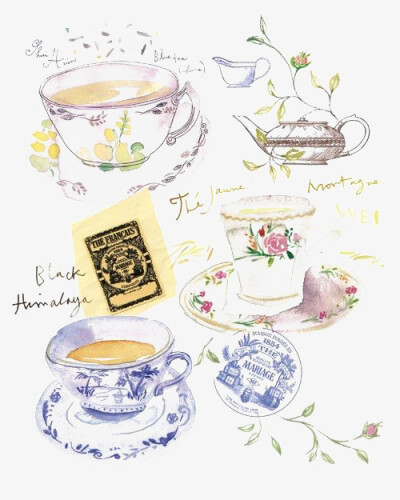 杯子的插画