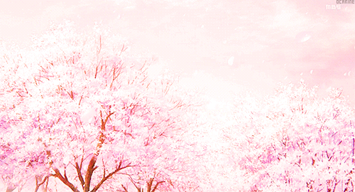 樱花飞舞图片背景图图片