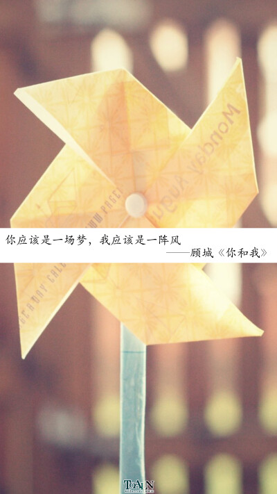 [你应该是一场梦, 我应该是一阵风]顾城《你和我》#诗歌/文字/情感