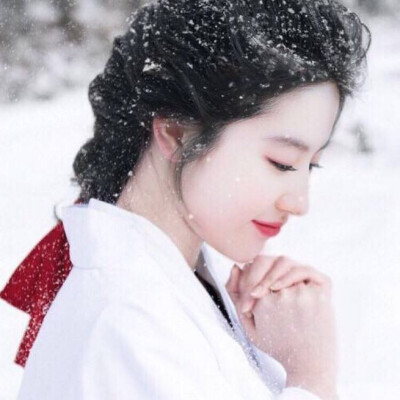 刘亦菲 头像 壁纸 雪