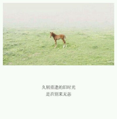 久别重逢 别来无恙