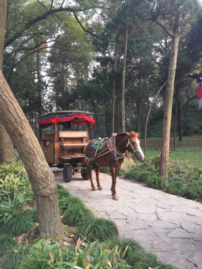 免扣.古风. 0 6 小艺疯子  发布到  古代马车 图片评论 0