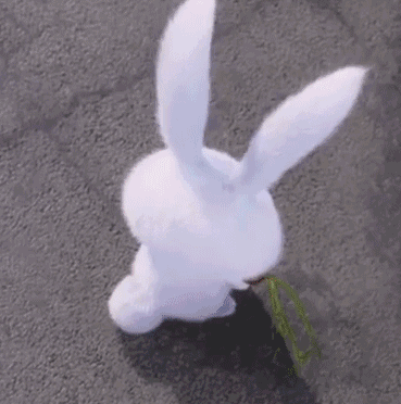 兔子奔跑gif图片
