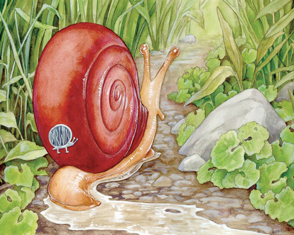 水彩动物蜗牛