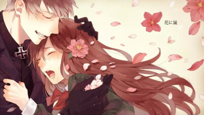 aph普洪