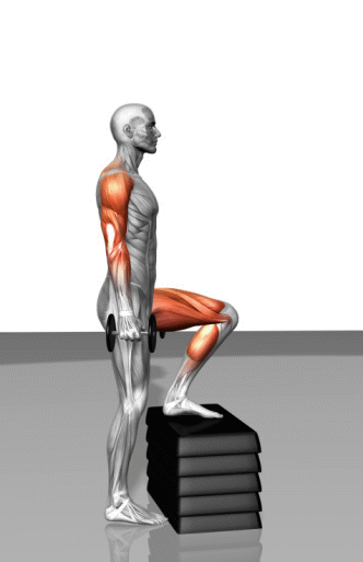 目标肌:腿部肌群动作:负重台阶单腿训练