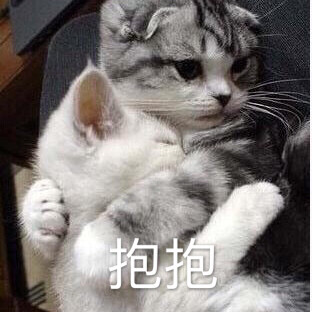 逗人笑的表情包