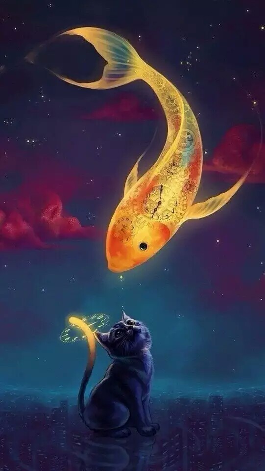 猫和鱼壁纸动漫星空