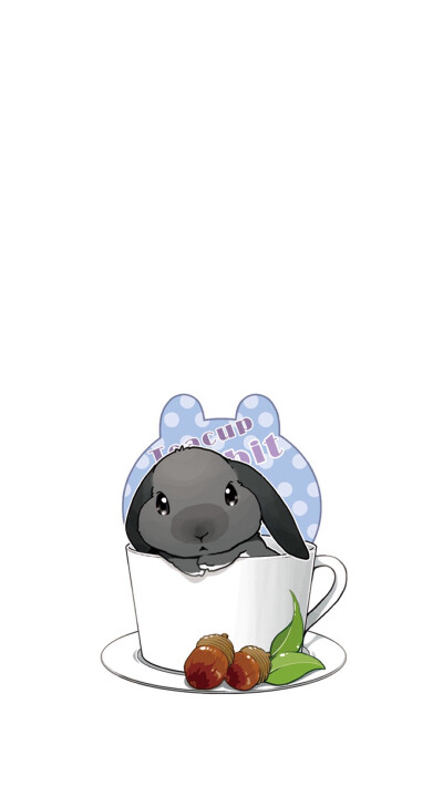 可爱的茶杯兔