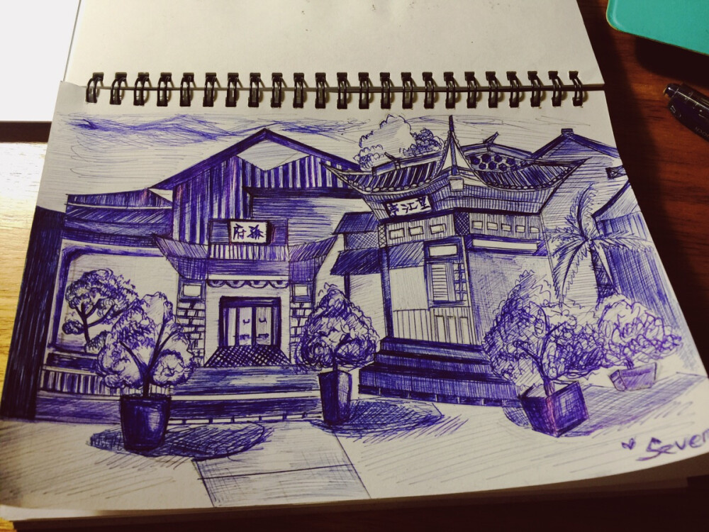 第一幅油笔画 有点怪