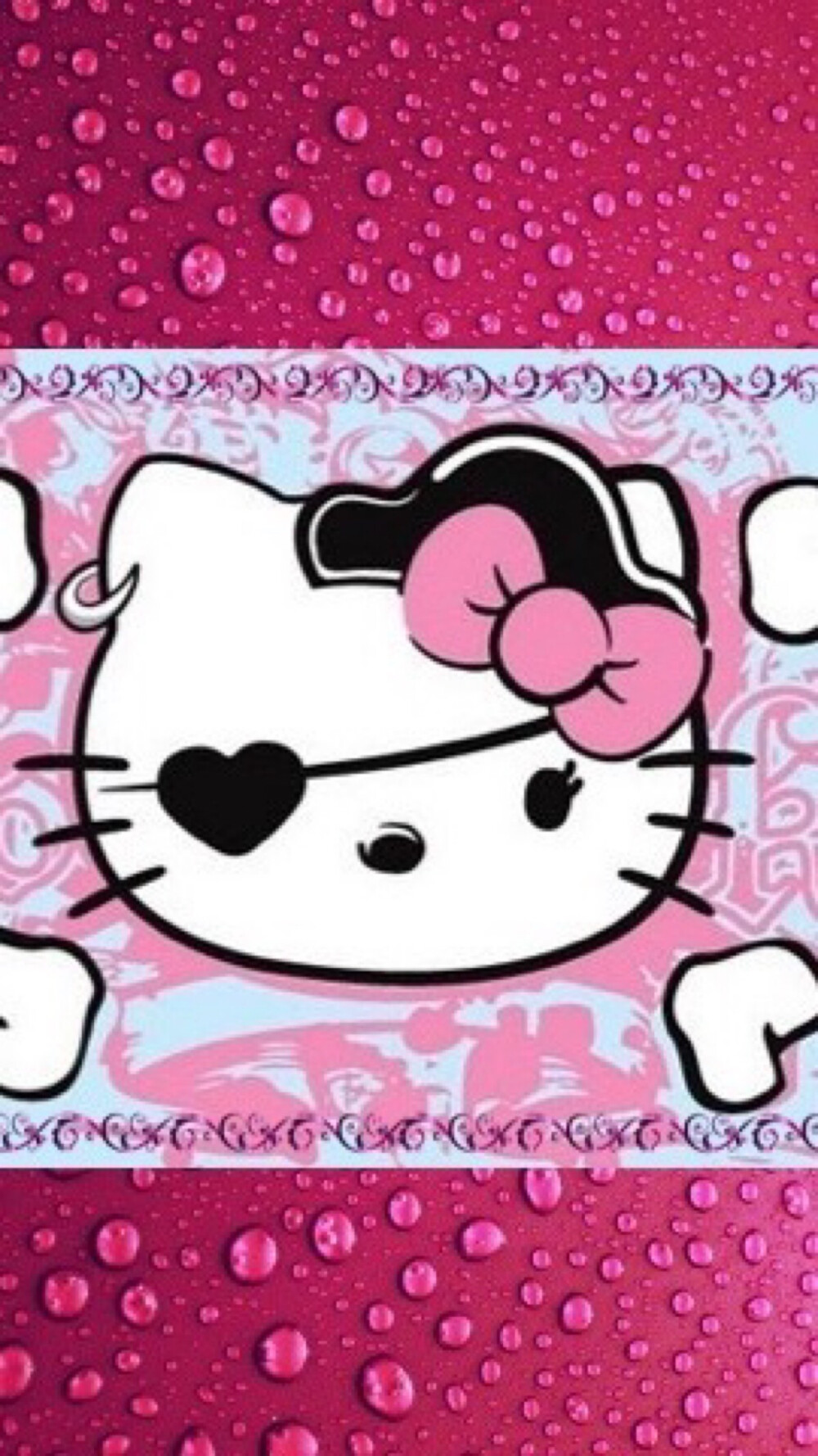 新新holle kitty 猫