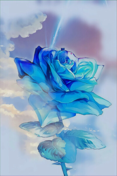 看到蓝玫瑰,让我想起了