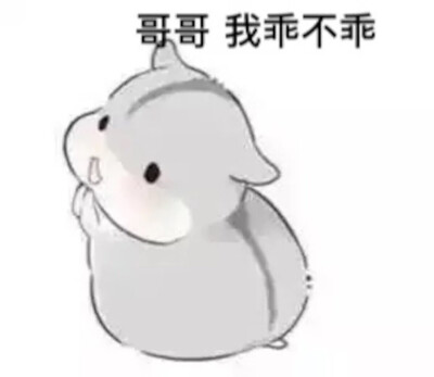 花栗鼠表情包