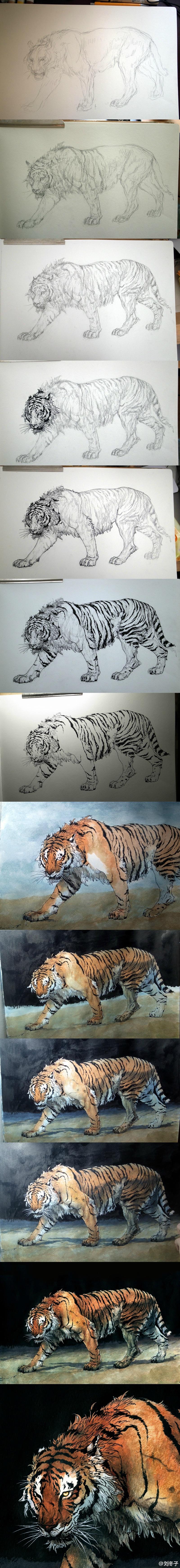 老虎绘画