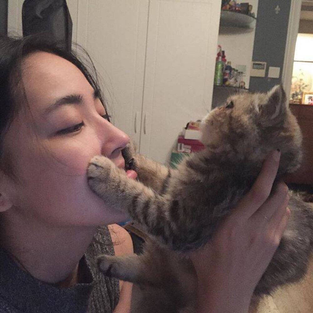 女生头像猫