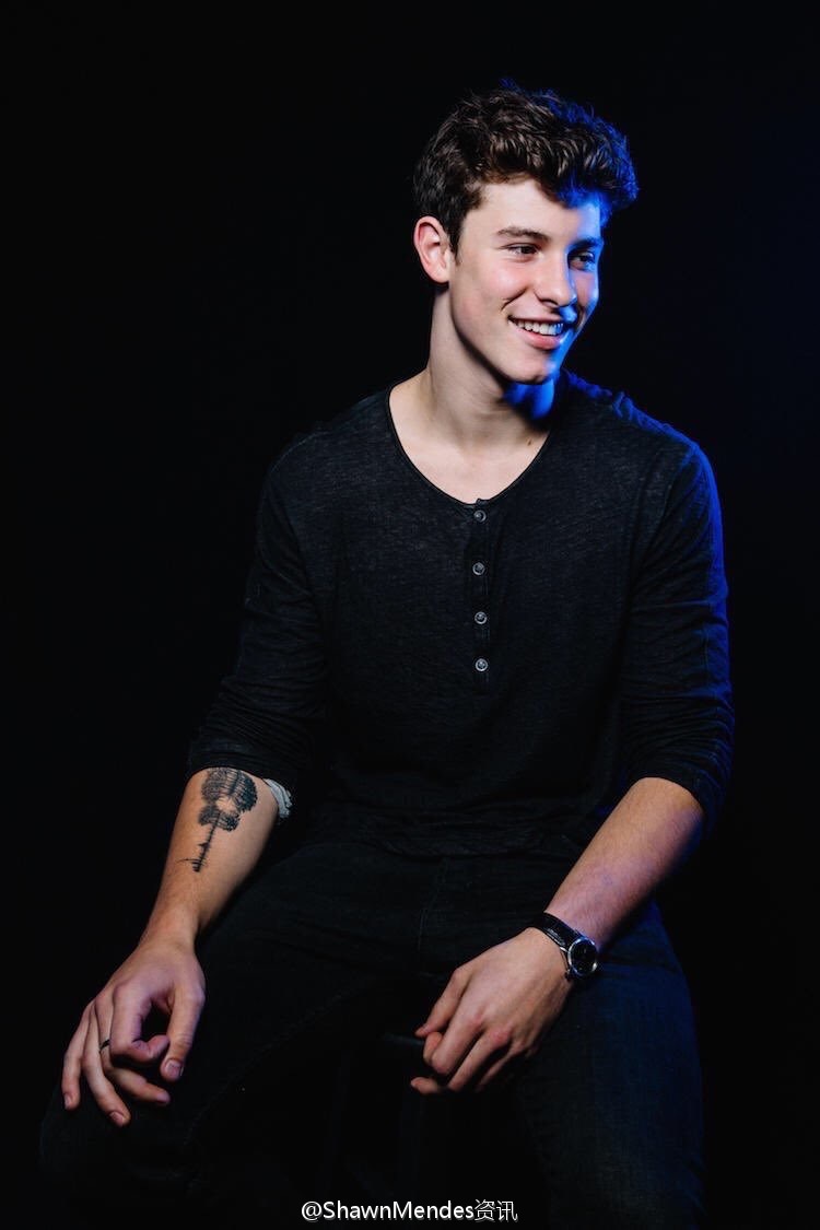 shawn mendes