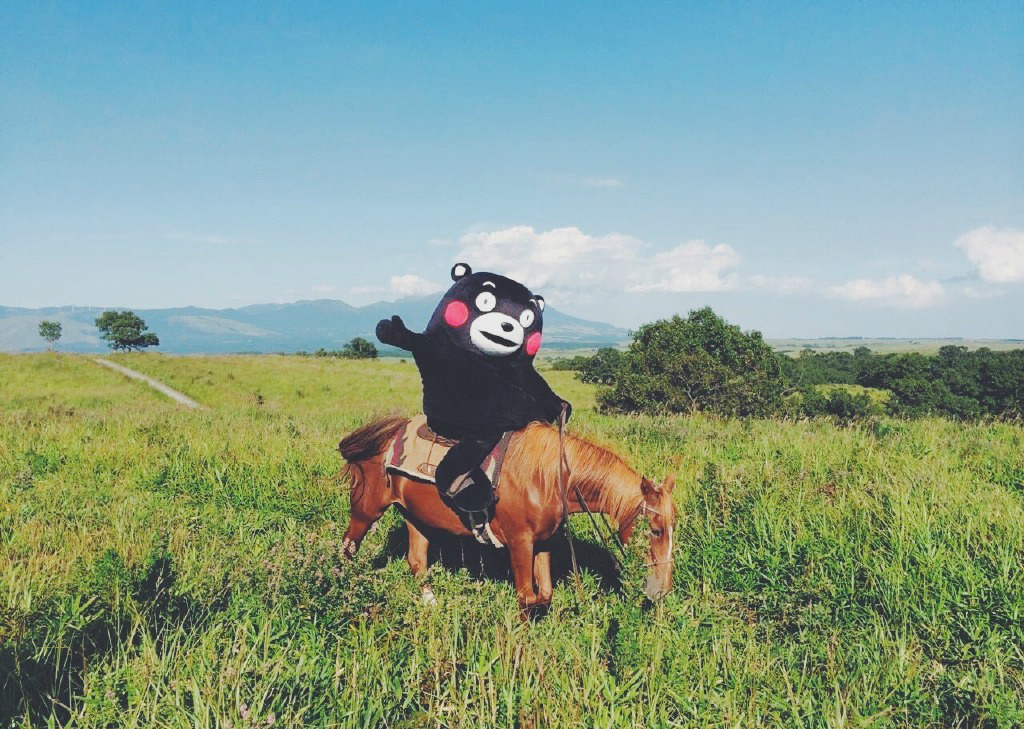 熊本熊 斗图 表情 - 堆糖,美图壁纸兴趣社区