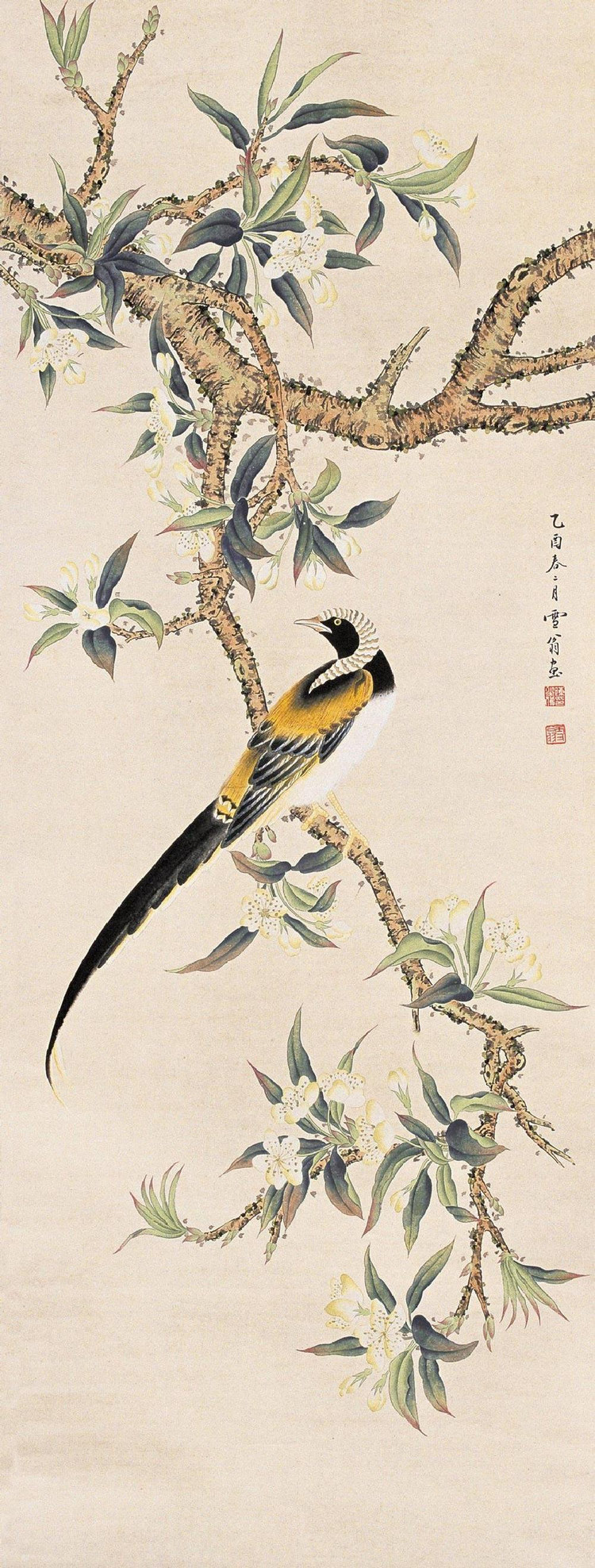 国画大师陈之佛工笔花鸟画精选 - 堆糖,美图壁纸兴趣