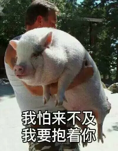 你要吃饭表情包
