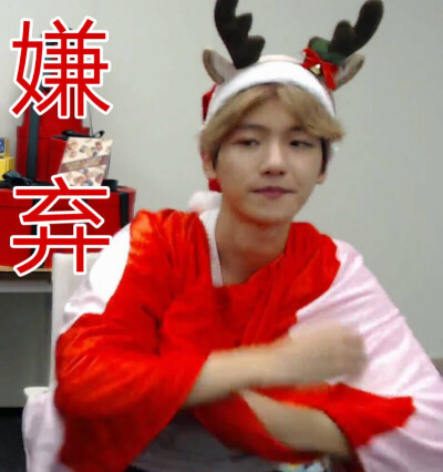 exo边伯贤表情包