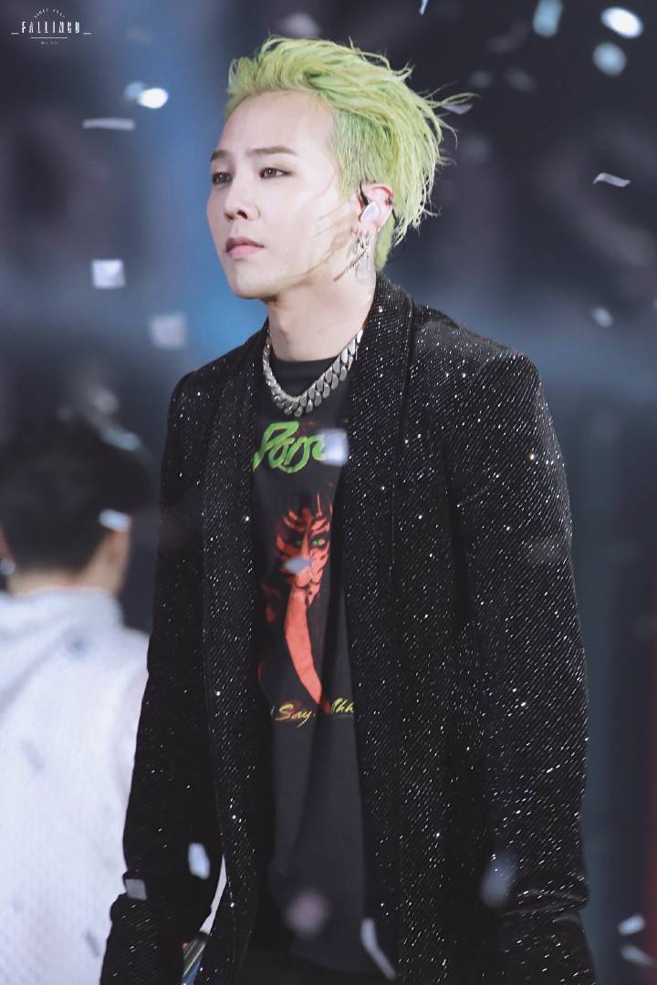 73g-dragon73