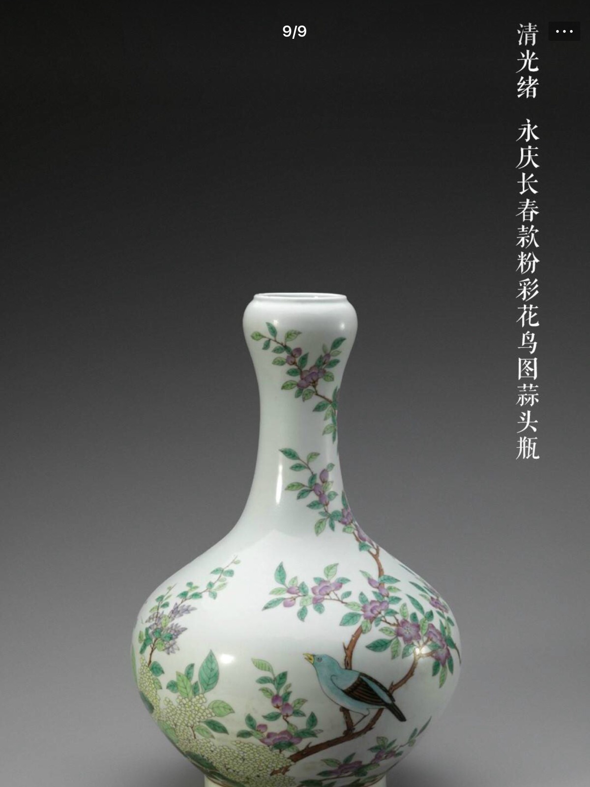 清光绪 永庆长春款粉彩花鸟图蒜头瓶