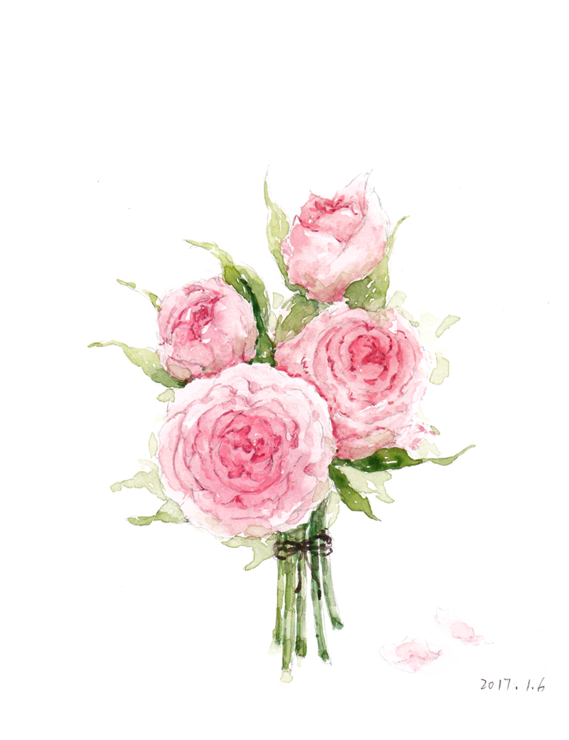 花束--花花酱手绘