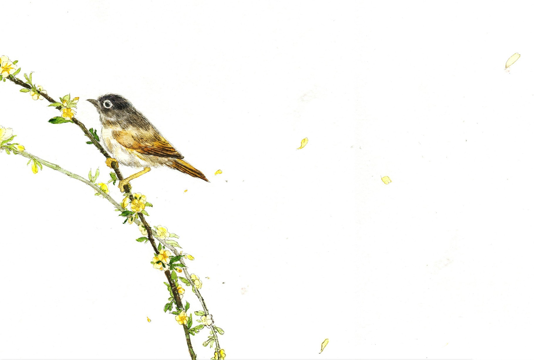 古风水彩素材 〕作者 越女yn - 堆糖,美图壁纸兴趣社区