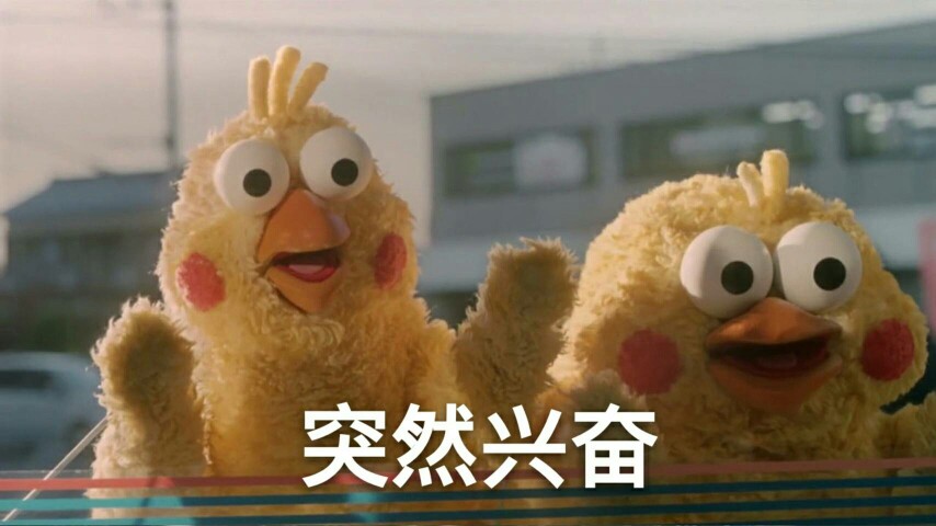 鹦鹉兄弟#表情包#鸡年表情包#鹦鹉表情包#羊驼驼的表情#突然兴奋