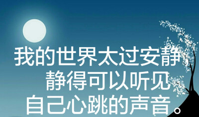 我的世界太过安静,静得可以听见自己心跳的声音.