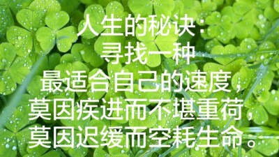 人生的秘诀:寻找一种最适合自己的速度,莫因疾进而不堪重荷,莫因迟缓