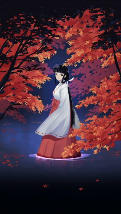 日本动漫《犬夜叉》中的主要角色,战国时代灵力数一数二的巫女,被村民