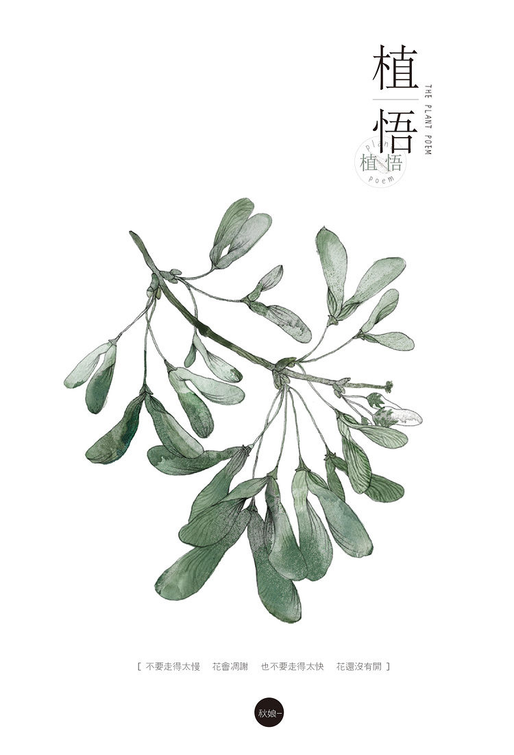 【植悟】-秋娘_植物,文艺,治愈,绿色,清新_涂鸦王国插画