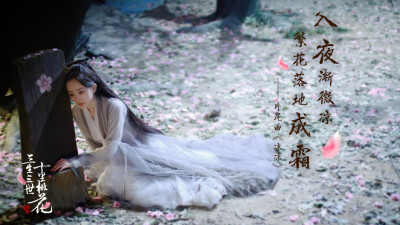 三生三世十里桃花:杨幂