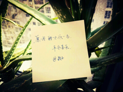【笔间少时】愿我的女孩一生平安喜乐 --舒仪《曾有一个人,爱我如生命