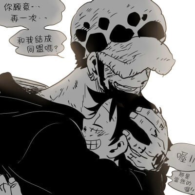 【罗路吧转载】海贼王 罗路 罗这个也虐,你愿意再一次和我结成同盟吗