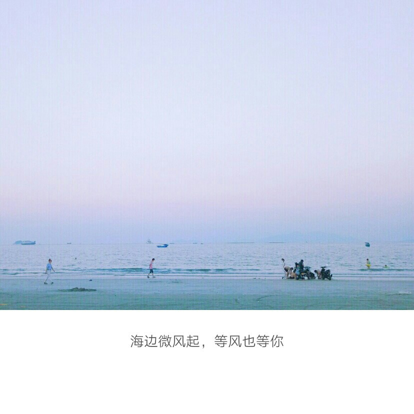海边微风起,等风也等你「拿图请赞吧」