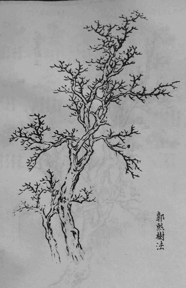 中国国树 国画图片