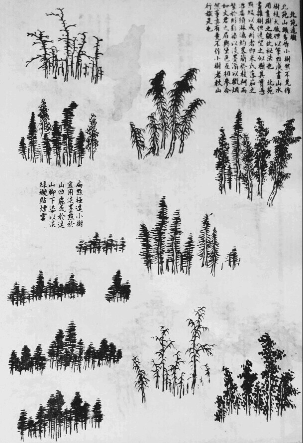 12种树的画法 中国画图片