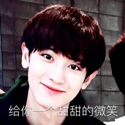 exo表情包 灿烈