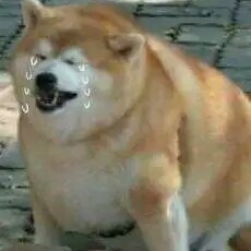 胖哭啦哈哈哈哈哈哈哈